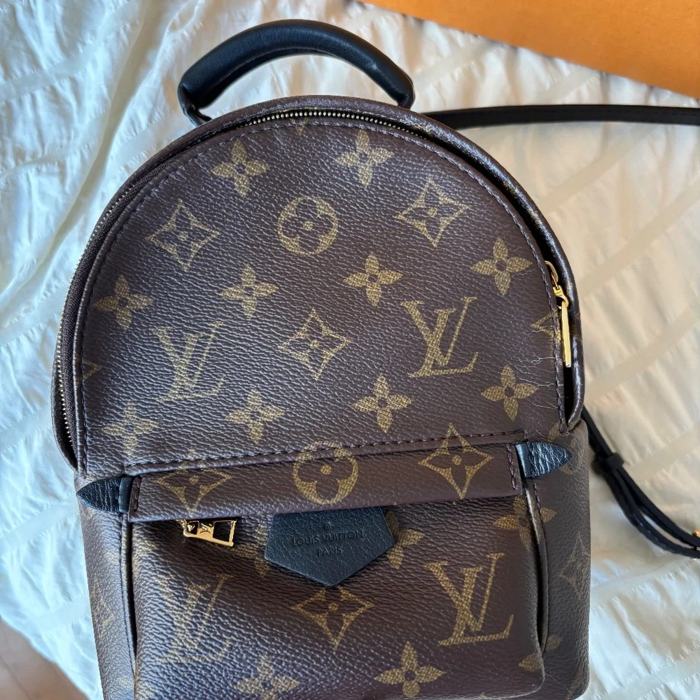 LV Palm Spring Mini - Picture 3 of 12